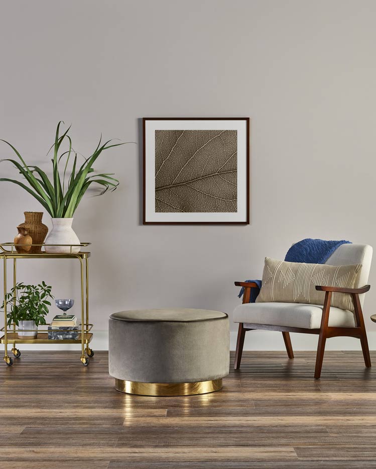 carpet in a living room
